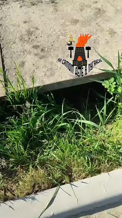 В районе эстакады щенок упал в колодец