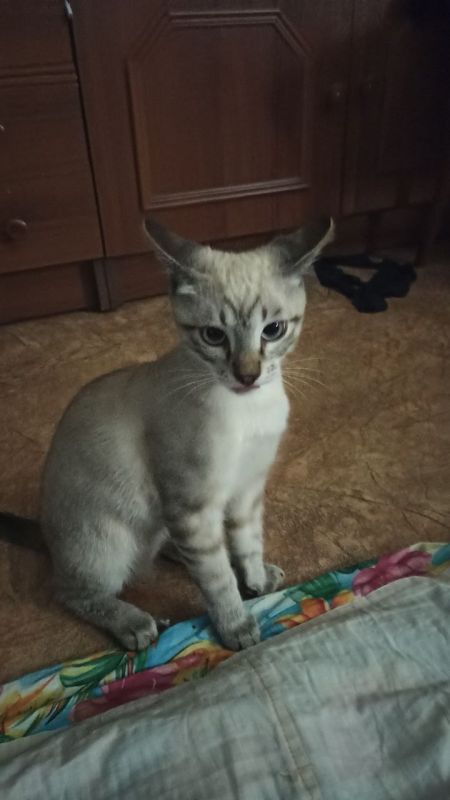 7 мая на территории Республики прогнозируется переменная облачность