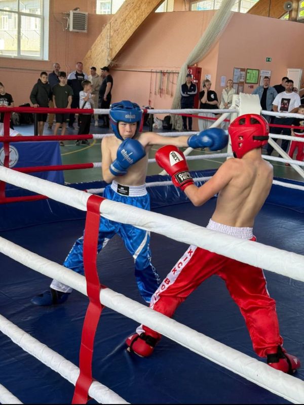 6 медалей завоевали кикбоксеры Лутугино на XI турнире «Шолоховская весна»