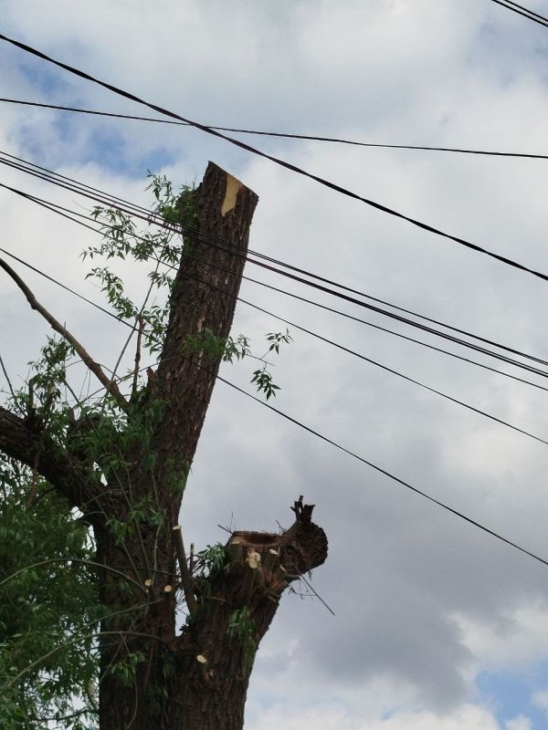 Владимир Чернев: Специалисты МБУ Центр «Благоустройство» продолжают системную работу по благоустройству территории Старобельского муниципального округа