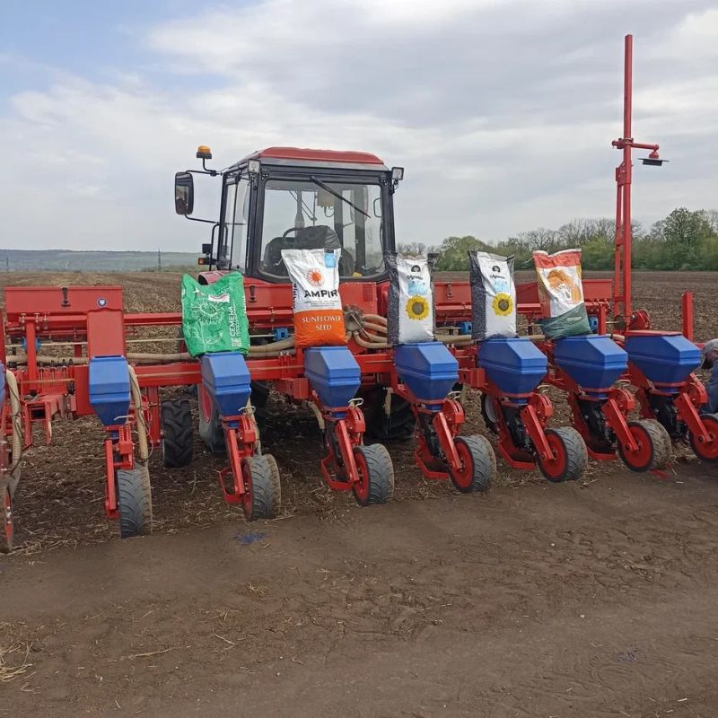 Новые гибриды подсолнечника, кукурузы и сорго проходят испытания в ЛНР