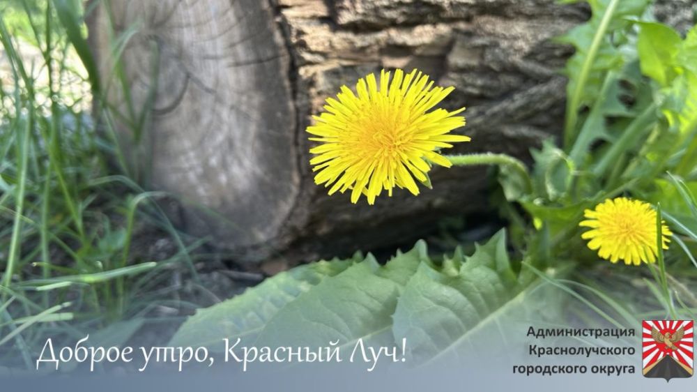 Доброе утро, краснолучане!