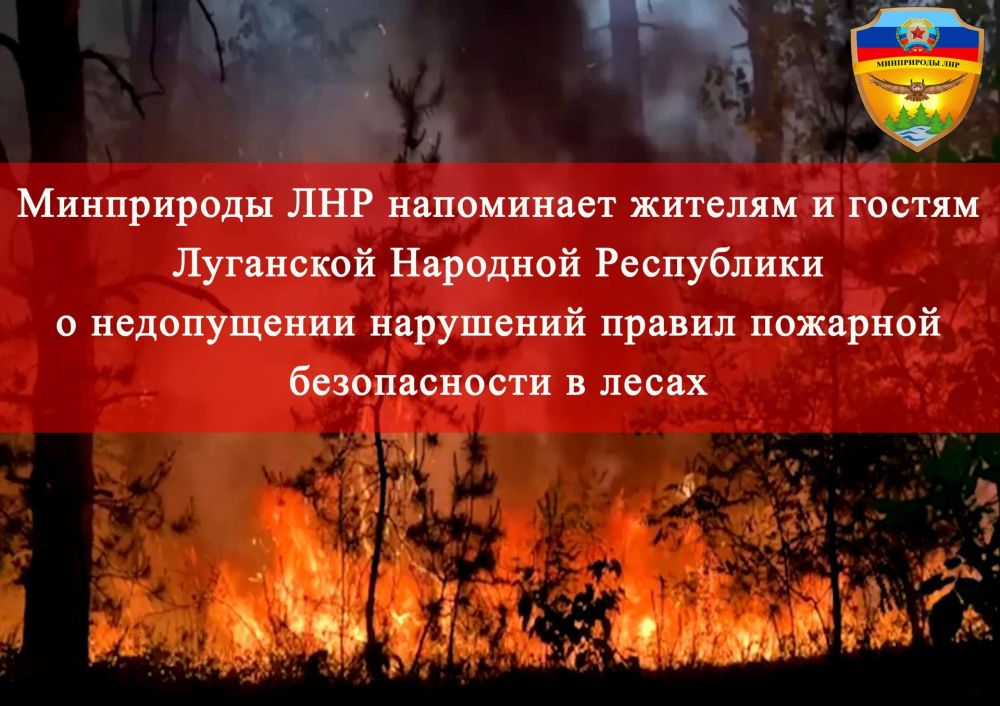Согласно Правилам пожарной безопасности в лесах, утвержденным постановлением Правительства Российской Федерации от 07.10.2020 № 1614, до установления устойчивой дождливой осенней погоды или образования снежного покрова в...