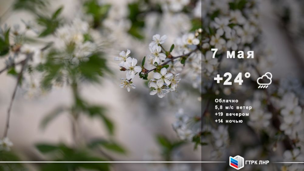 Доброе утро, Луганская Народная Республика!