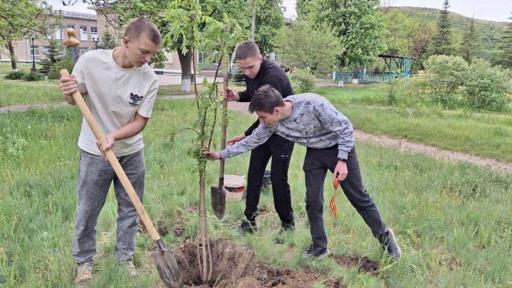 Дерево Победы!. Сегодня ученики-наставники нашего образовательного учреждения внесли свою лепту в сохранение памяти поколений
