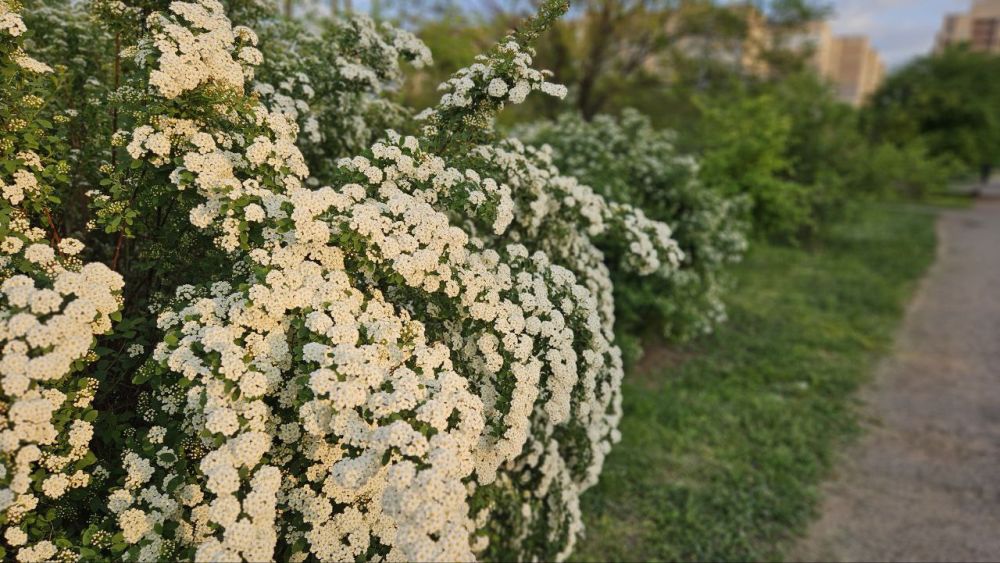 Доброе утро, Алчевск!. Последний рабочий день на этой короткой праздничной неделе