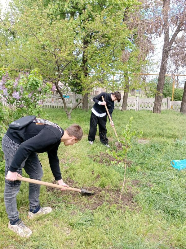 Ученики Самсоновского №УВК №33 стали участникам акции «Сад памяти»