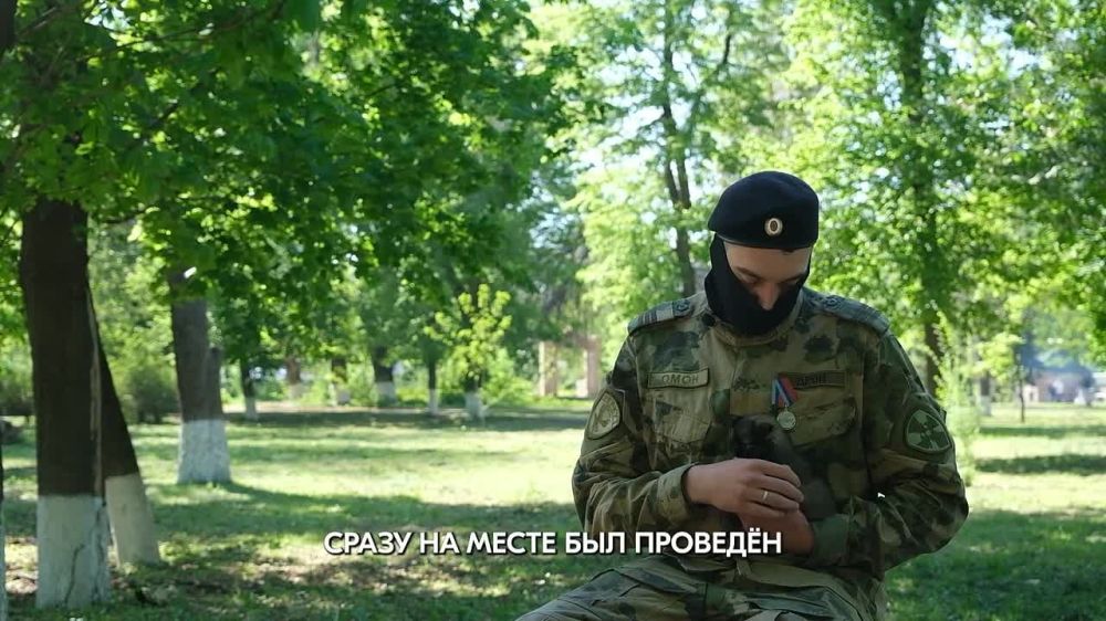 Трогательная история спасения: как судьба щенка изменилась благодаря доброте людей