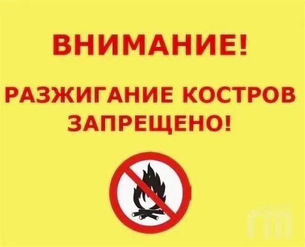 Отдел чрезвычайных ситуаций, охраны труда и окружающей природной среды Администрации городского округа город Ровеньки напоминает: на природе (в лесах и на территории домовладений) запрещается:
