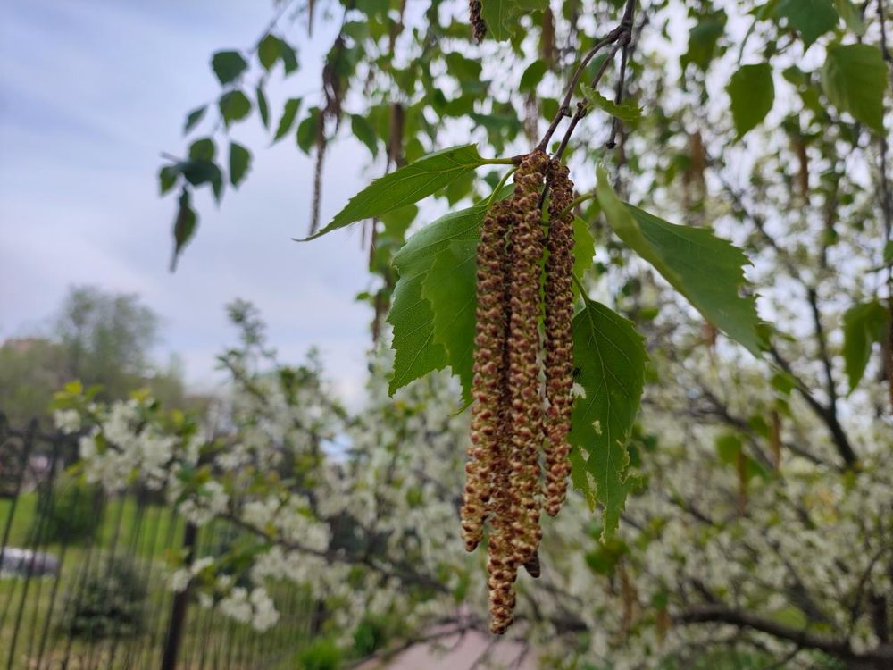 В ЛНР ожидается дождь 7 мая