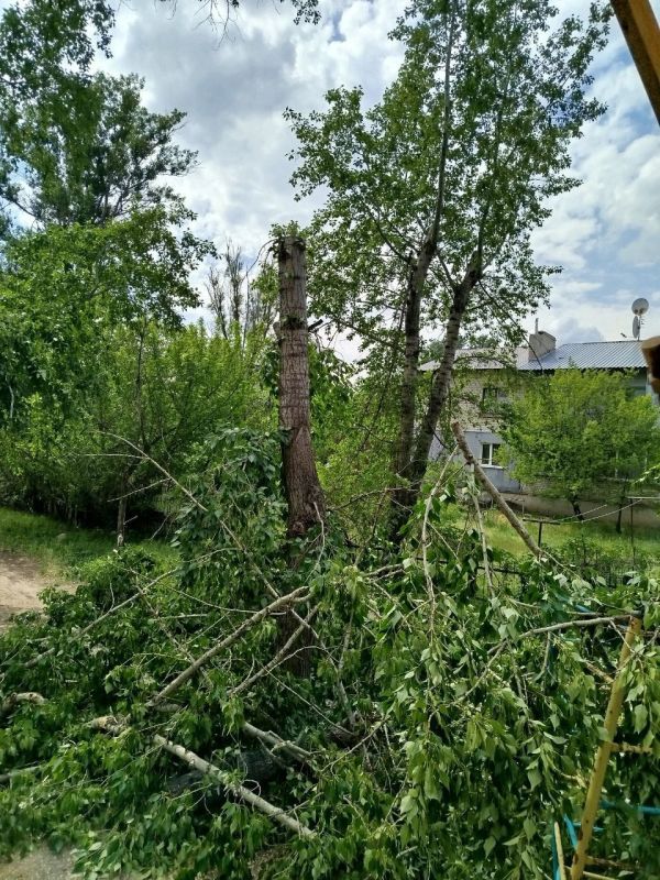 МБУ Центр "Благоустройство" — работа по обращениям жителей!