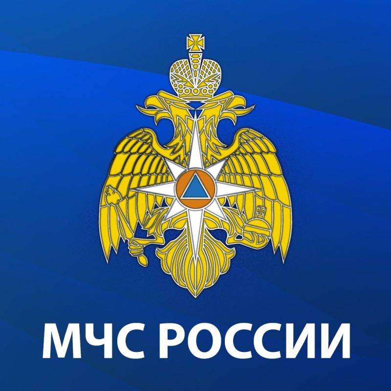 Какие меры пожарной безопасности необходимо соблюдать при разведении открытого огня на территории земельных участков?