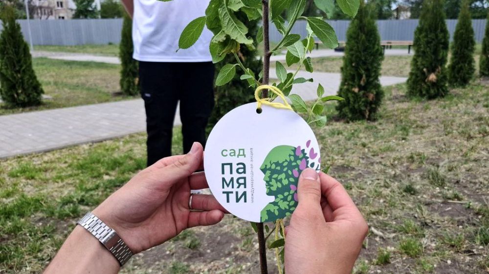 Сад Памяти. На территории Северодонецкого городского центра патриотического воспитания, туризма и краеведения были высажены первые деревья в память о воинах и героях нашей Родины