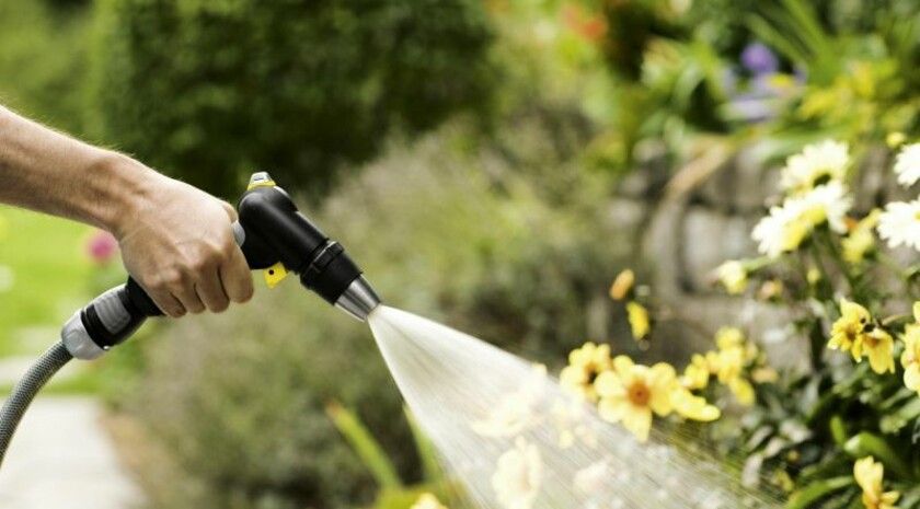 Огородная инфляция. Как сэкономить дачнику?