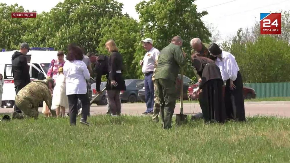Саженцы «Тополя Победы» высадили на мемориальном комплексе «Непокорённые» в Краснодоне