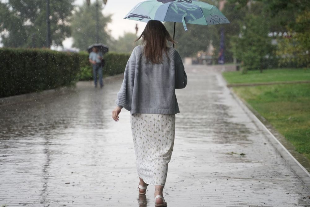 Дождь, град и грозы ожидаются в ЛНР 8 мая