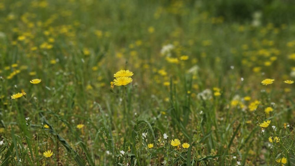 Доброе утро, Алчевск!. И снова выходные! Пусть они будут наполнены интересными событиями, приятными встречами и доброй памятью о близких, которые участвовали в Великой Отечественной войне