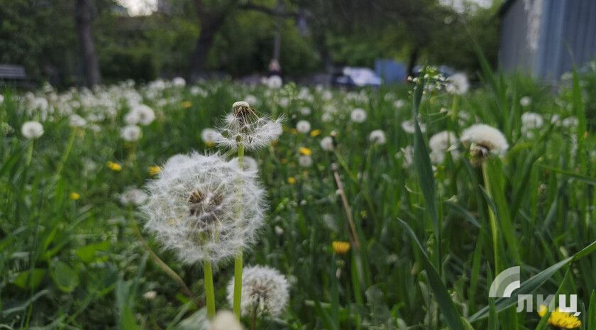 Синоптики прогнозируют 9 мая в ЛНР до 22 градусов тепла, дождь, грозу и град
