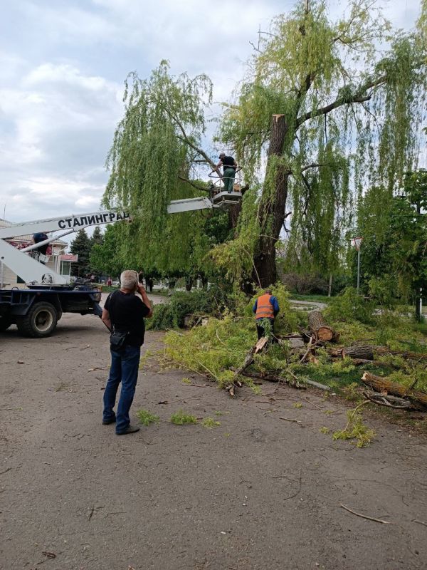 В предверии 80-й годовщине Победы в Великой Отечественной войне, жители села Николаевка выражают благодарность МУП «Энергобытсервис Станично-Луганского района» за санитарный спил аварийных деревьев по улице Советская возле...