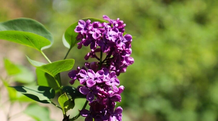 Сильные дожди, ливни и усиление ветра ожидаются в ЛНР 9–10 мая — МЧС