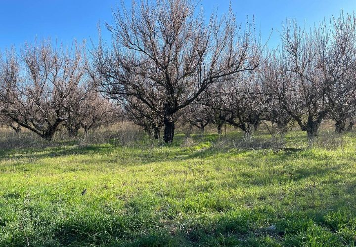 В ночь на 11 мая и утром 12 мая в некоторых районах республики прогнозируются заморозки, температура может опуститься до -2 градусов