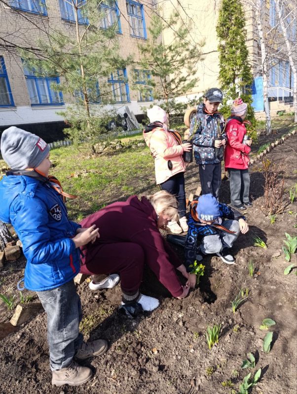 В апреле-мае в Лисичанской средней школе № 18 прошла акция «Аллея памяти»