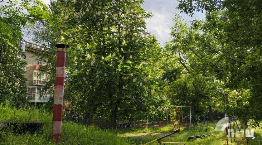 Синоптики прогнозируют 11 мая в ЛНР до 19 градусов тепла и заморозки ночью