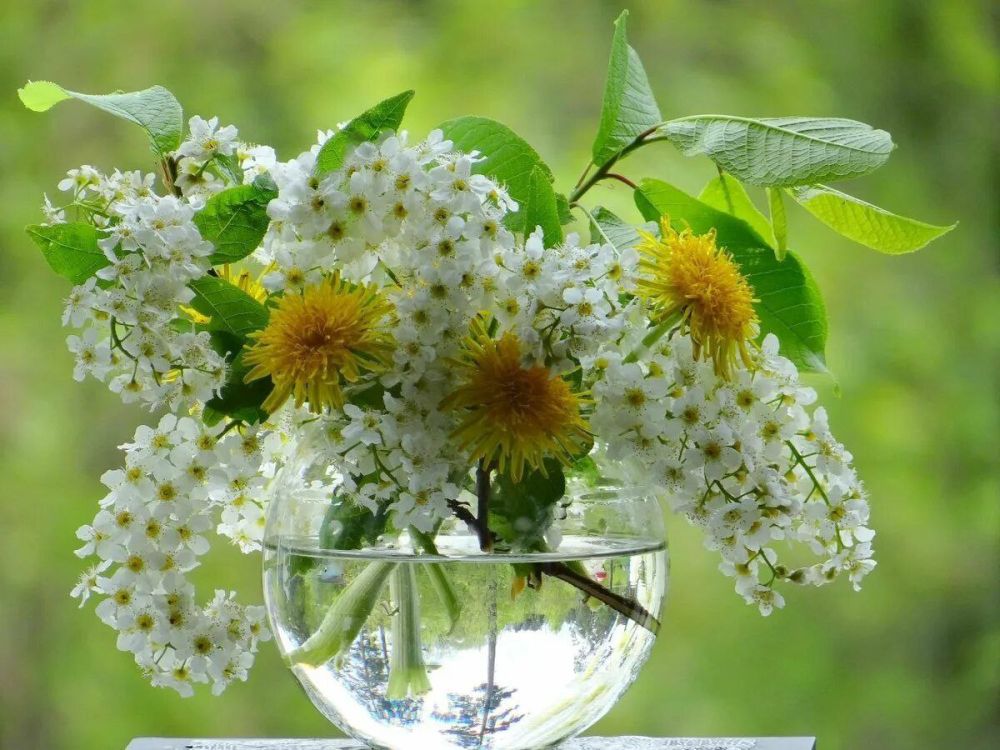 С ДОБРЫМ УТРОМ, НОВОПСКОВСКИЙ ОКРУГ!