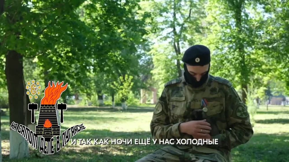 Щенок, которого спасли доброта и неравнодушие