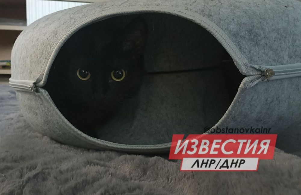 11 мая на территории Луганской Народной Республики прогнозируется переменная облачность