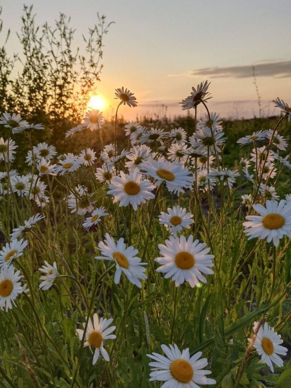 С добрым утром, жители Марковского муниципального округа!