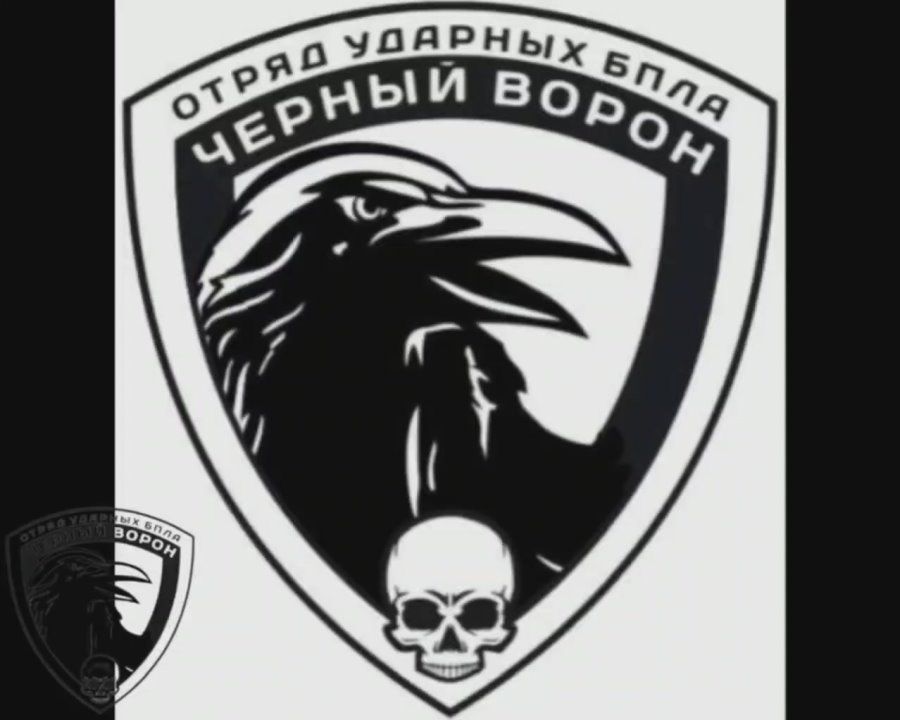 Записки ветерана: Оператор ОУ БПЛА "Черный ворон" выследил и уничтожил вражеский гексокоптер "Баба Яга"