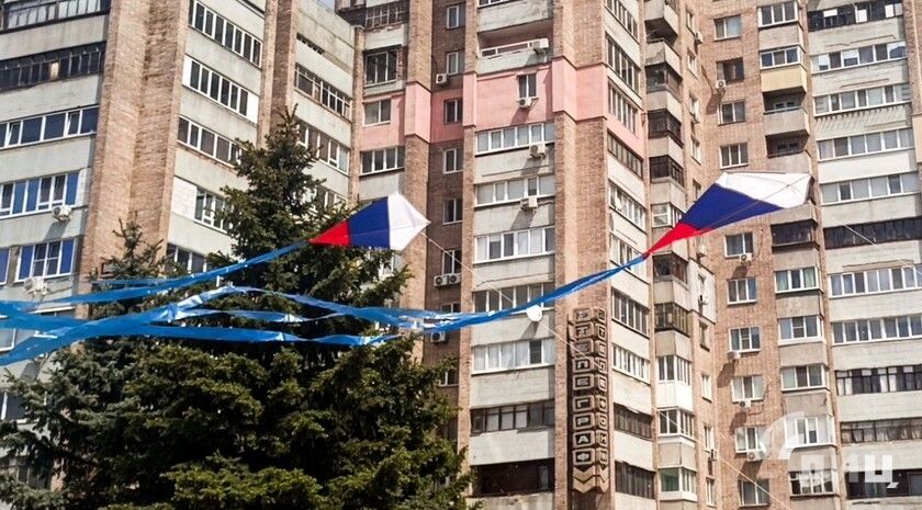 Активисты запустили около 50 воздушных змеев в честь Дня Республики