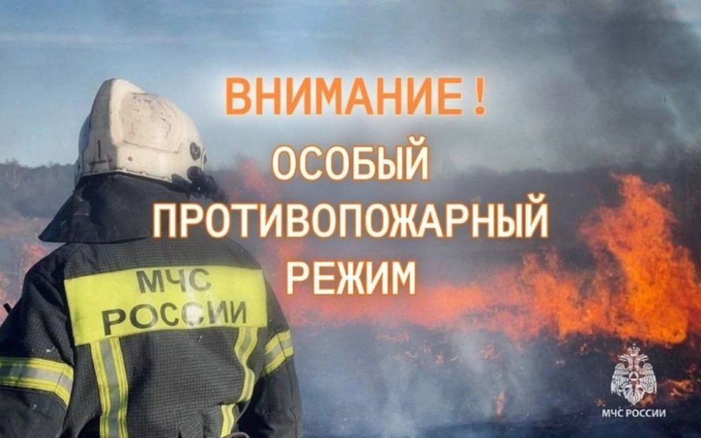 Согласно Постановления Правительства Луганской Народной Республики №75/25 от 29 апреля 2025 г. на территории республики установлен особый противопожарный режим!