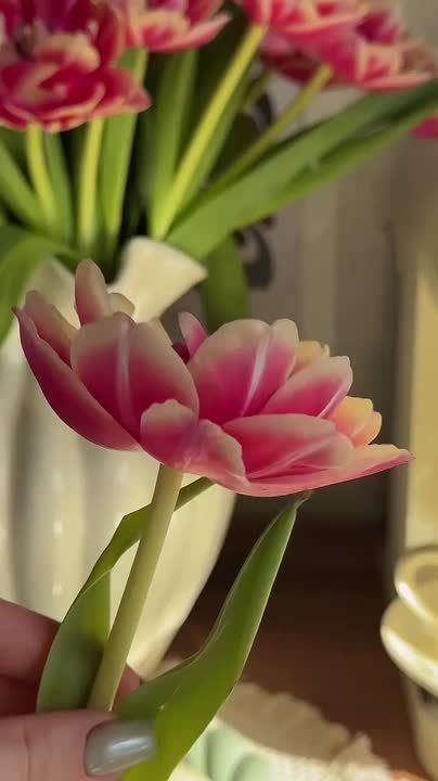 Счастье часто прокрадывается через дверь, которую вы не знали, что оставили открытой