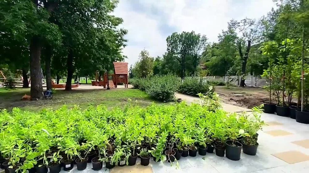 Ровно 11 лет назад был провозглашён суверенитет ЛНР, ознаменовавший начало сложного, но полного надежд пути!