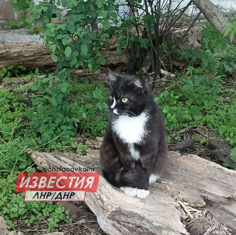 13 мая на территории Луганской Народной Республики будет облачно с прояснениями