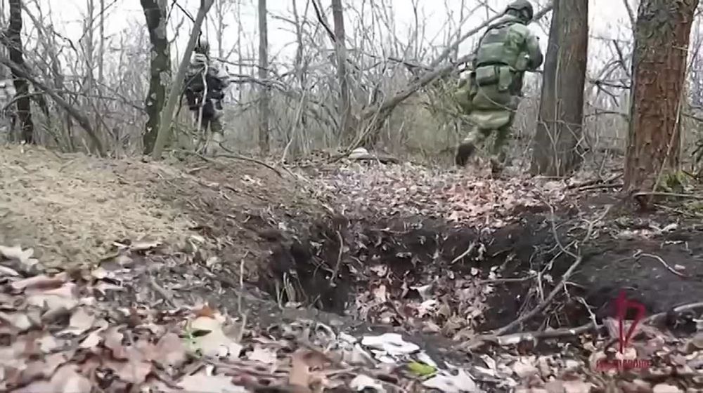 Более 70 кг взрывчатки обнаружили росгвардейцы в замаскированном схроне на территории ЛНР