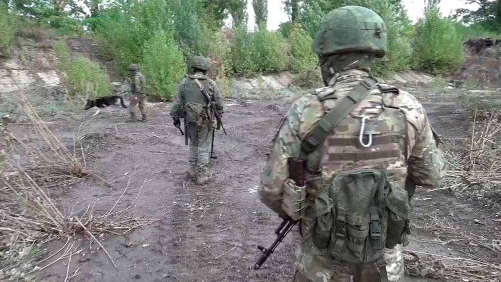 СВО. Донбасс. Оперативная лента за 13.05.2025