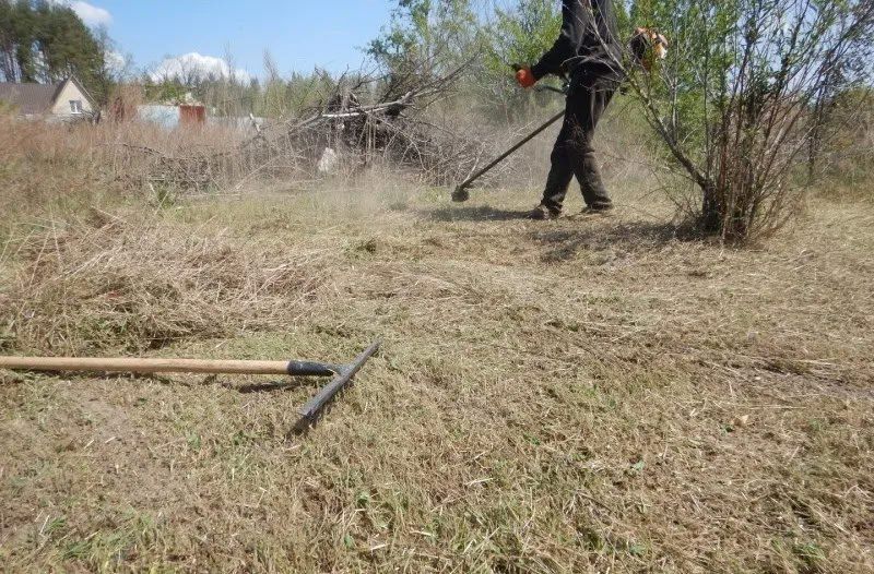 Владимир Чернев: Уважаемые жители Старобельского муниципального округа!