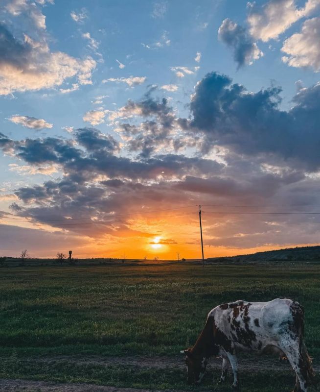 Синоптики прогнозируют 14 мая в ЛНР от нуля градусов ночью до 18 градусов тепла днем, местами пройдет кратковременный дождь, на почве и в воздухе ожидаются заморозки до минус 3 градусов