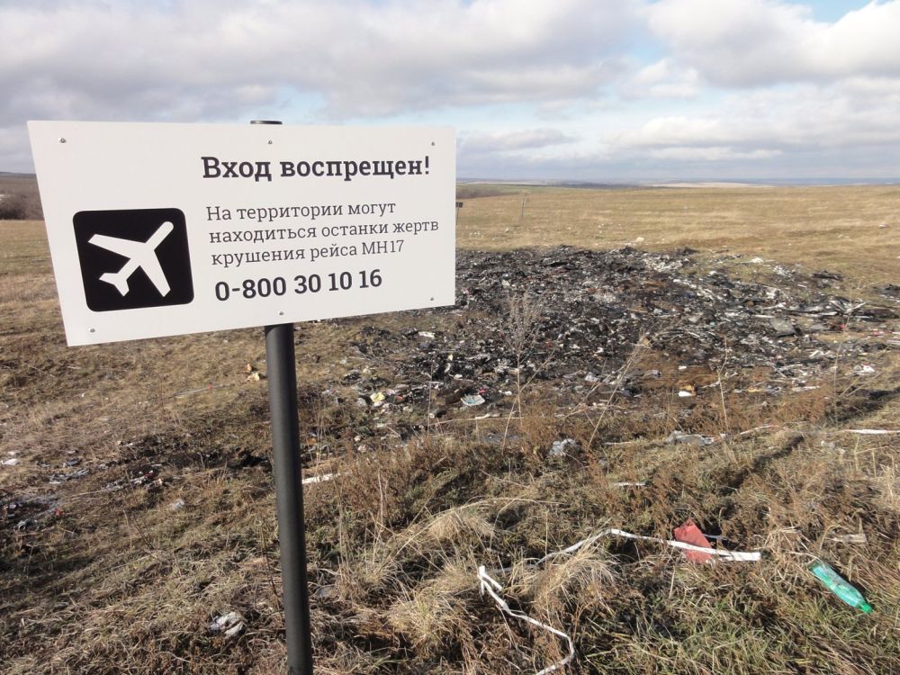 МИД РФ: главным виновником катастрофы MH17 является киевский режим