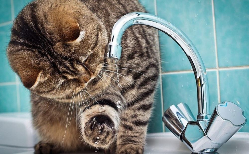 Государственное унитарное предприятие "Лугансквода" назвало адреса, по которым 13 мая возможно прекращение подачи воды из-за ремонтных работ