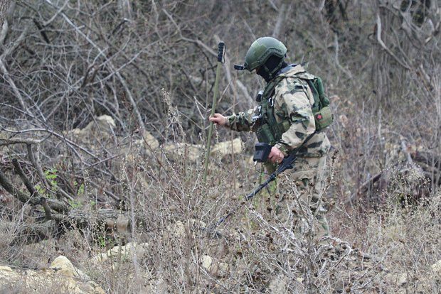 Росгвардия показала видео с обнаружением 70 кг взрывчатки в лесополосе ЛНР