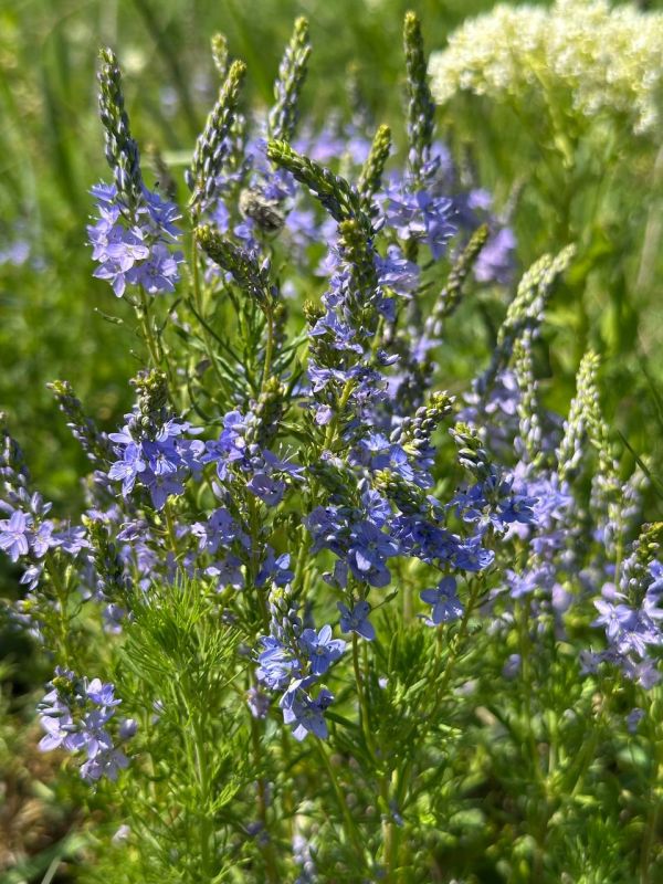 С добрым утром, жители Марковского муниципального округа!