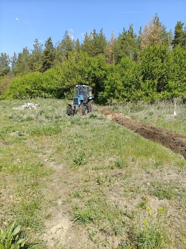 Владимир Чернев: Подготовка к пожароопасному сезону 2025