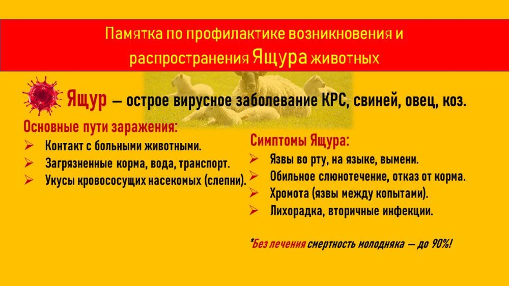 Важная информация о предотвращении Ящура среди животных