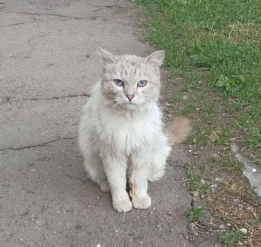 15 мая на территории Луганской Народной Республики переменная облачность