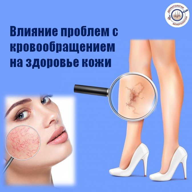 Кровообращение играет ключевую роль в обеспечении всех органов и тканей необходимыми питательными веществами и кислородом