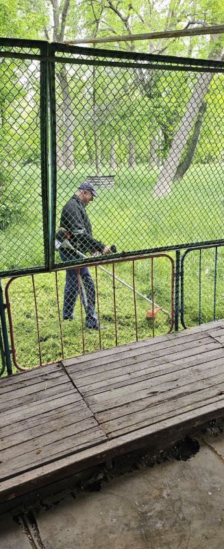 Покос травы - это процесс удаления лишней растительности на определенной территории, который является неотъемлемой частью благоустройства и ухода